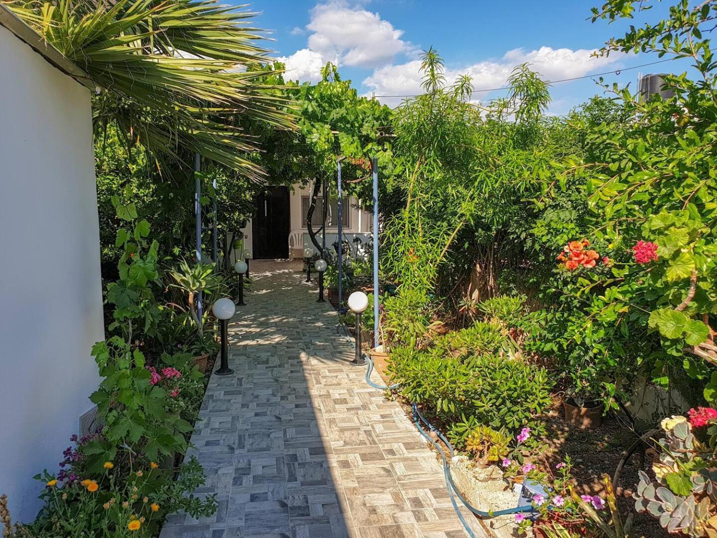 Vila Maria'S House, With Garden Kalamaki  Exteriér fotografie