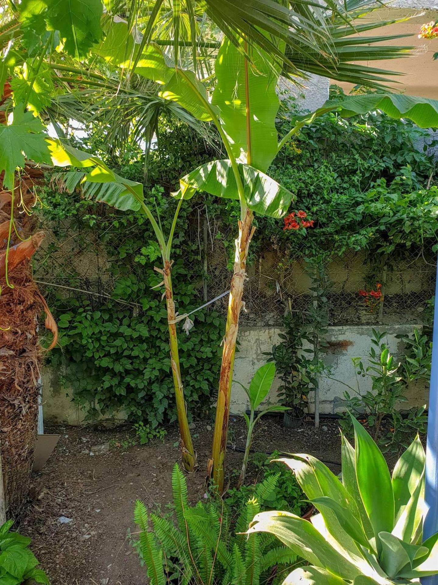 Vila Maria'S House, With Garden Kalamaki  Exteriér fotografie